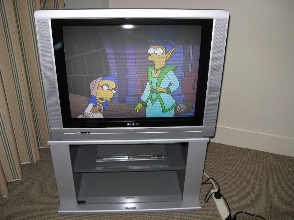 Simpsons on TV